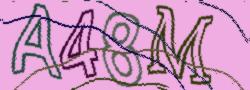 Retype the CAPTCHA code from the image